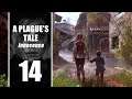 [FR] Fin - ép 14 - A Plague Tale gameplay let's play PC