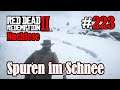 Let's Play Red Dead Redemption 2 #223: Spuren im Schnee [Nachlese] (Slow-, Long- & Roleplay)