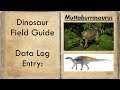 Muttaburrasaurus: Habitat and Facts