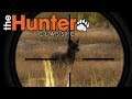 The Hunter Classic #26 - Ein Fuchs - The Hunter