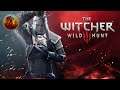 The Witcher 3: Wild Hunt | A Questing We Go | Part 5