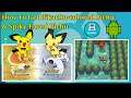 How to get Shiny Pichu + Spiky Eared Pichu Event in Pokemon Heart Gold and Soul Silver
