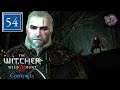 Contract: Strange Beast - Witcher 3 Story Only (Part 54)