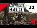 🔴🎮 Days Gone - ps4 - 22