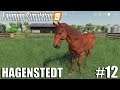 Delivering The Horses | Hagenstedt | Timelapse #12 | Farming Simulator 19 Timelapse