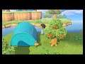 Island Trip!-Animal Crossing New Horizons (Island Journal Part 2)