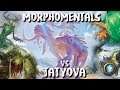 Jolt - Commander - Morophon, the Boundless vs Tatyova/Marchesa