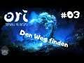 🦉Ori and the will of the Wisps # 03 🦉/Let's Play/Gameplay/(Let's Play/Deutsch/Kitty/Hype)2020)