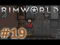 RimWorld - More Mods, Expanding, and Planning - Episode 19