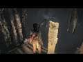 Rise of The Tomb Raider PL - Artefakty#9