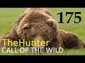 Охота TheHunter Call of the Wild # 175