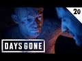 КАРЛОС | Days Gone | ПРОХОЖДЕНИЕ #20