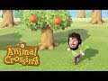 LIVE | Skakar träd i Animal Crossing New Horizons