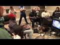 MvC2 NEC19: Vidness vs RappleRoss .:12.15.18:.