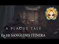 SANGUINIS ITINERA》 [A Plague Tale: Innocence] Ep.10