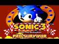 Sonic 3 & Knuckles: Pro Survivor (Demo) ➢ Sonic Hack
