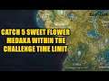 Catch 5 Sweet Flower Medaka within the challenge time limit Genshin Impact