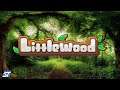 Littlewood - Town of Dedwood 09