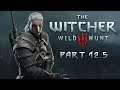 SingSing The Witcher 3: Wild Hunt - Part 12.5