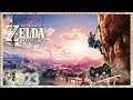 The Legend of Zelda: Breath of the Wild #023 - Chaos-Link, ich gelobe Besserung - Let´s Play [blind]