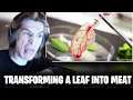XQC Reacts To Transforming A Leaf Into Meat | Daily Dose Of Internet