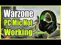 Call of Duty Modern Warfare How to fix mic not working *fixed*