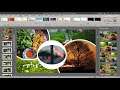 Editing Picture Slides Created with PowerPoint Designer (04)