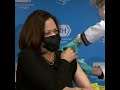 Kamala Harris didn't even feel the injection while receiving second dose of COVID-19 vaccine
