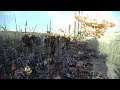 Total War: Rome II - Армения (Тактика штурма!) #8