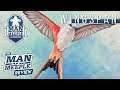 Wingspan Review by Man Vs Meeple (Stonemaier Games)