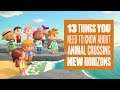 Animal Crossing: New Horizons Gameplay - 13 Things You Need To Know About Animal Crossing Switch