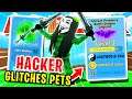 *HACKER* JOINS GAME AND DUPLICATES LEGENDARY PETS *GLITCH* IN ROBLOX NINJA LEGENDS (New Update)