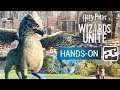 HARRY POTTER: WIZARDS UNITE | Hands-On