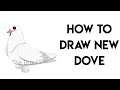 How To Draw New Dove From Roblox Adopt Me Valentines Pets - Step By Step Adopt Me Pets