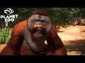 REACCIONANDO | TRAILER PLANET ZOO | GAMESCOM