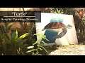 Turtle || Acrylic on Wood Painting Process