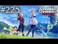 Xenoblade Chronicles: Definitive Edition Playthrough with Chaos part 225: Heartfelt Chats