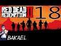 [FR/Streameur] Red Dead redemption 2 - 18 Sauvetage Irlandais