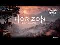 Horizon Zero Dawn PC Version - 1440p Ultra HDD 5400RPM - RTX 2060 Super + Ryzen 7 3800x + 16GB RAM