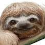 Bourne_Sloth