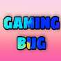 gaming bug