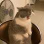 Patword