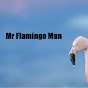 Mr Flamingo Man