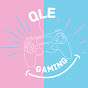 QLE Gaming
