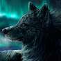 Wolfyy5