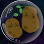 Zero Gravity Potatoes