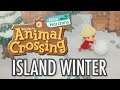 Animal Crossing New Horizons - WINTER Looks Like This