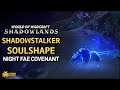 WoW: Shadowlands - Shadowstalker Soulshape