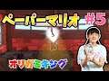 【ペーパーマリオ】ピーチ城へ早く行くんだ!土管をくぐってピーチ城へ #5