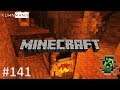 Minecraft | Fehlersuche | #141 | Vanilla 1.14.4 | DE (Deutsch)